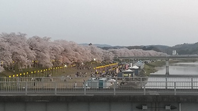 マイ仙台暮らし 紹介写真2