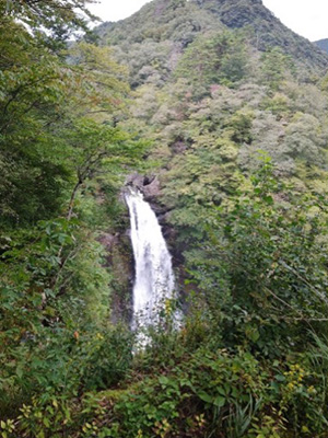 マイ仙台暮らし 紹介写真4